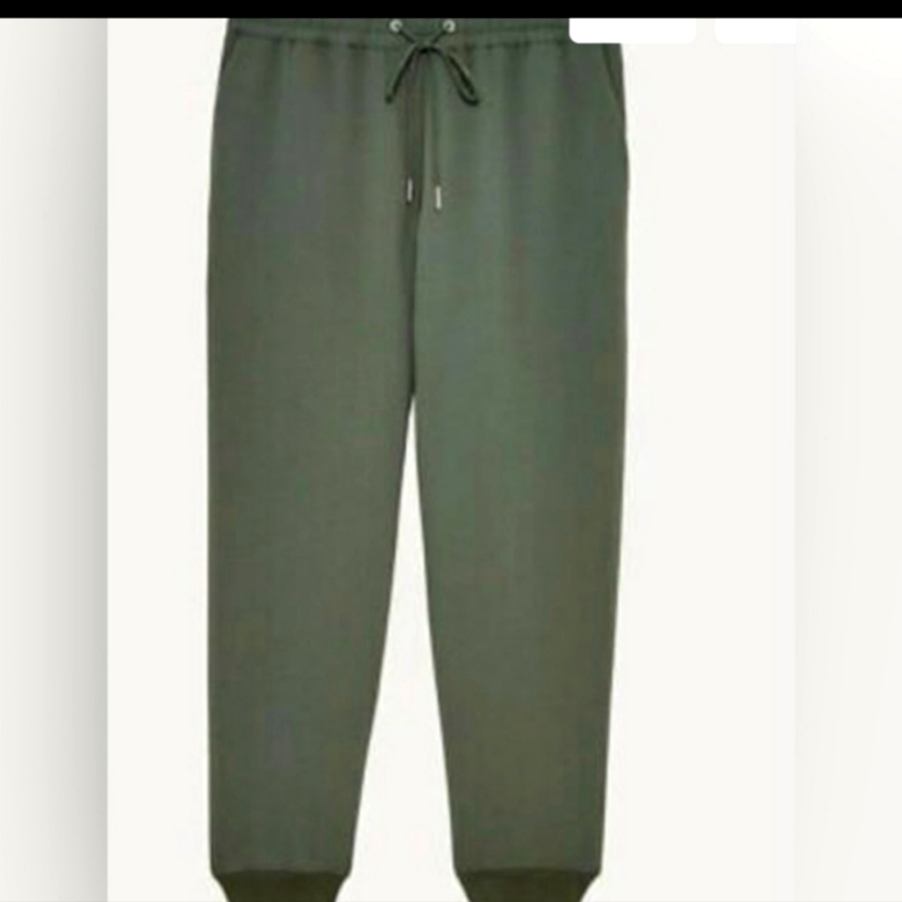 Aritzia Wilfred Buffon pants. Large.